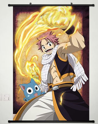 Amazon.com: Fairy Tail Wall Scroll Poster Fabric Painting for